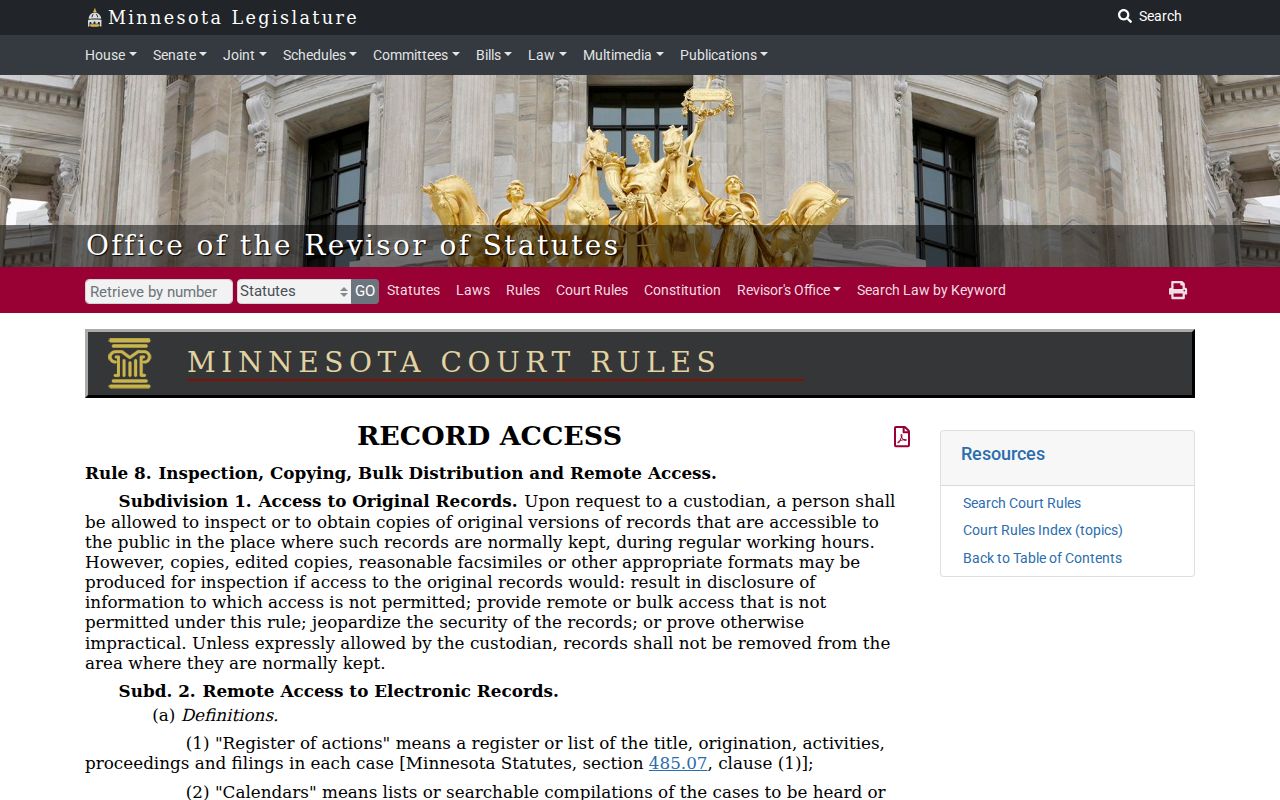Magnolia court record remote-access exclusions under Minnesota Rule 8